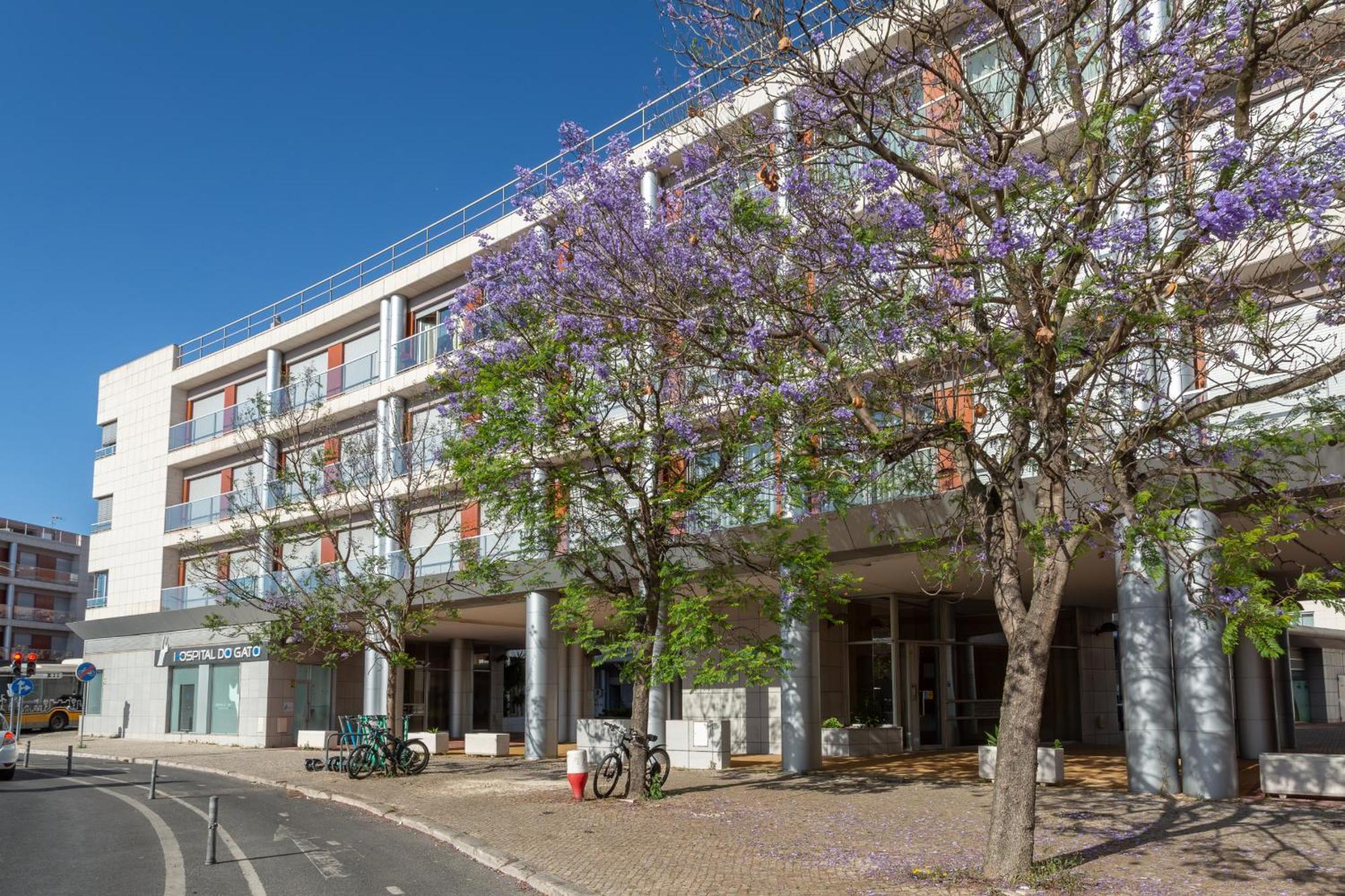 Beguest Premium Lisbon Suites Eksteriør bilde